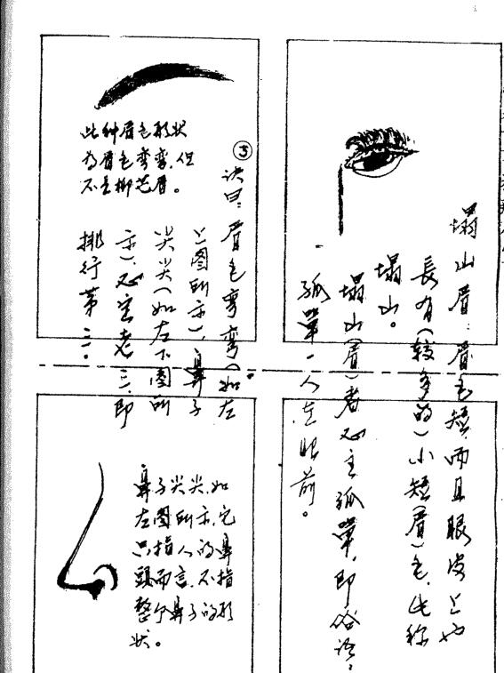 手面相秘透-陈鼎龙