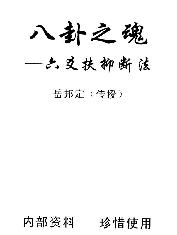 岳邦定-八卦之魂-六爻扶抑断法
