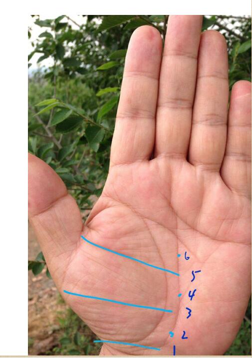 莫问手相培训.pdf 莫问手相教学珍贵资料131页 百度网盘下载！