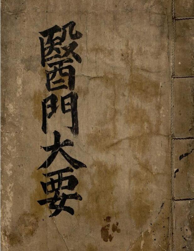 医学入门大要.pdf 中医古籍