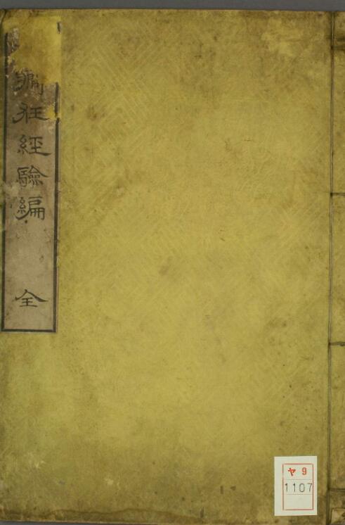 癫痫狂经验编.pdf 29页