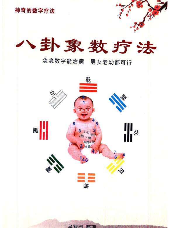 吴智园-《八卦象数疗法》八卦象数疗法、男女老幼都可行–彩色(1)