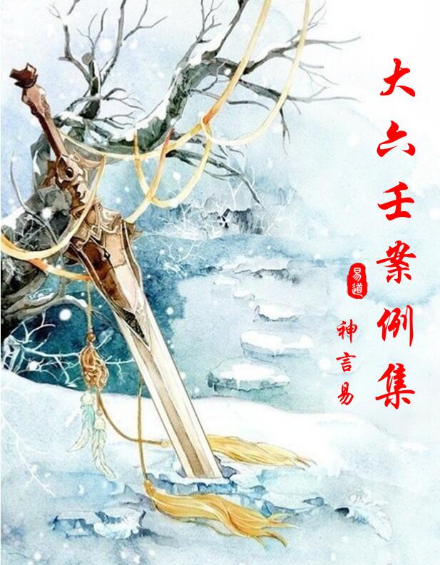 神言易断案大六壬案例集pdf 305页