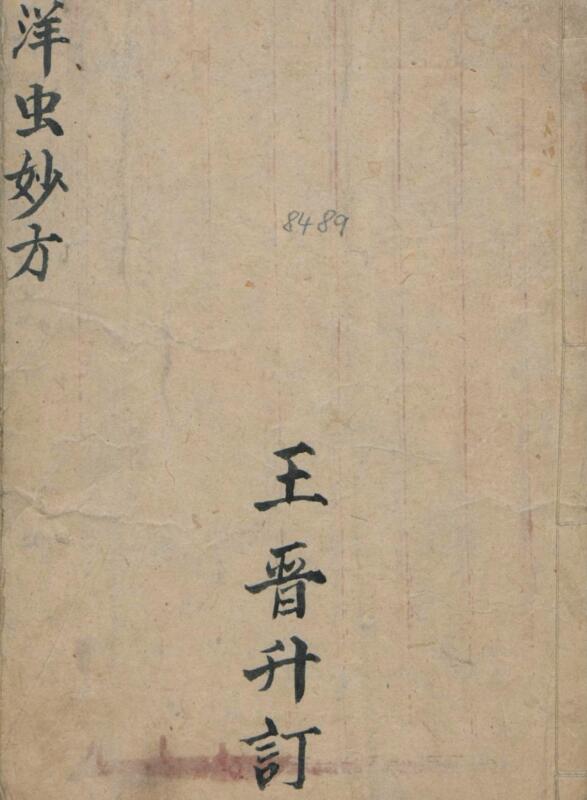 王晋升 洋虫妙方