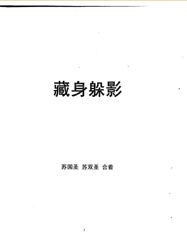 苏国圣-藏身躲影