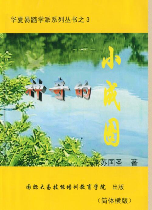 苏国圣-神奇的小成图