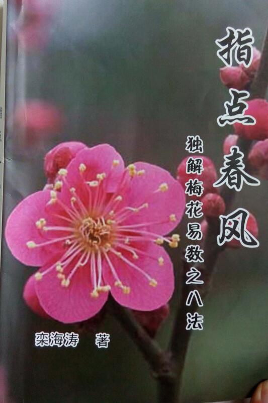 独解梅花易数之八法 《指点春风》栾海涛