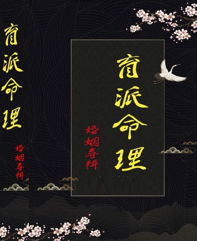 盲派命理婚姻专辑面授PDF电子书讲义