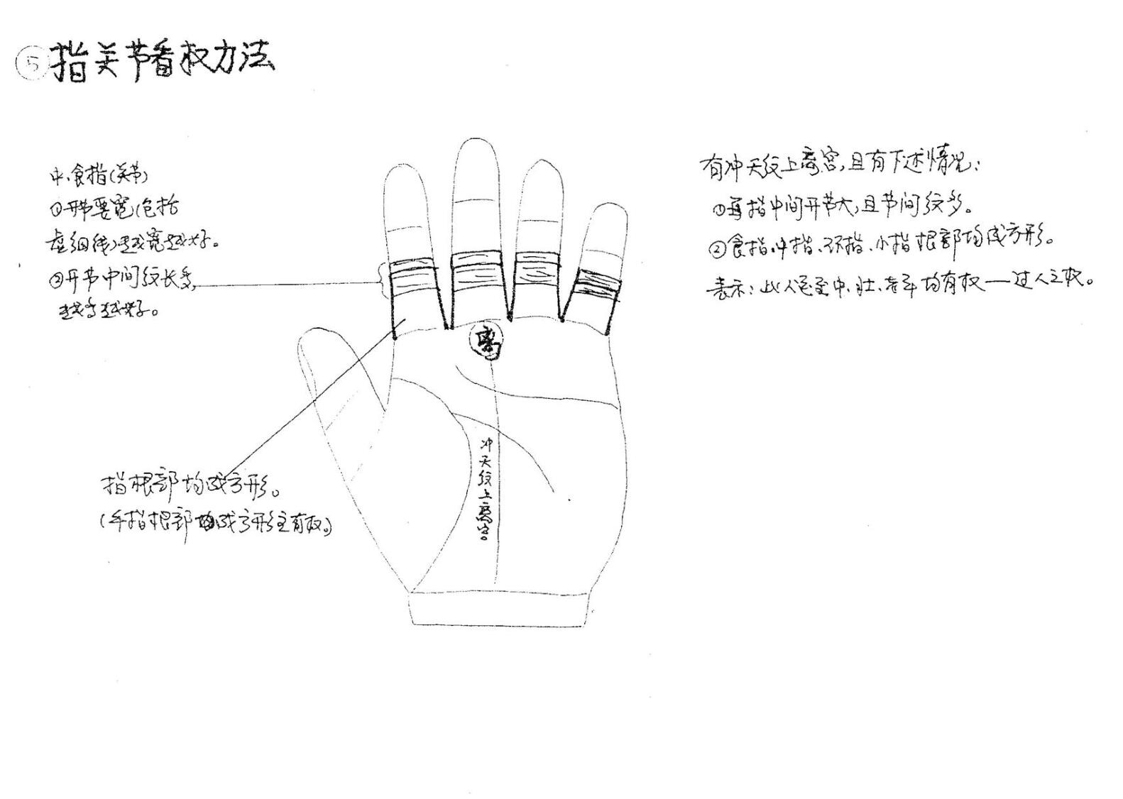 陈鼎龙，童忠义，手纹学