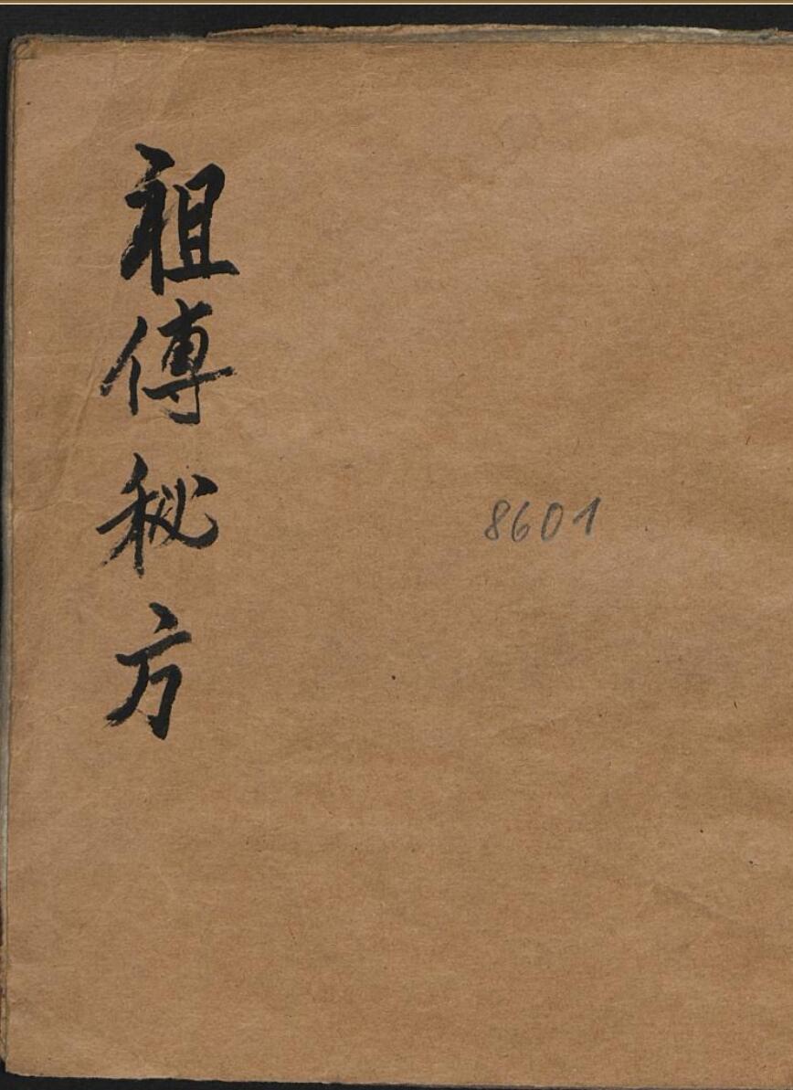 药王城圣.pdf