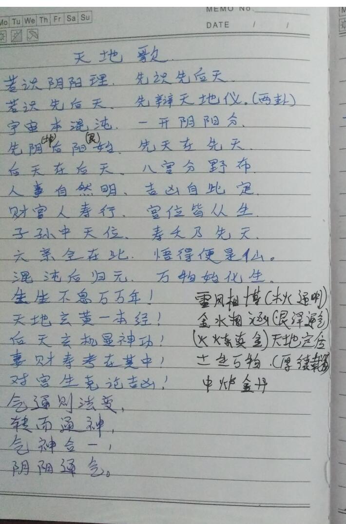 手写杨师秘传批注笔记109页