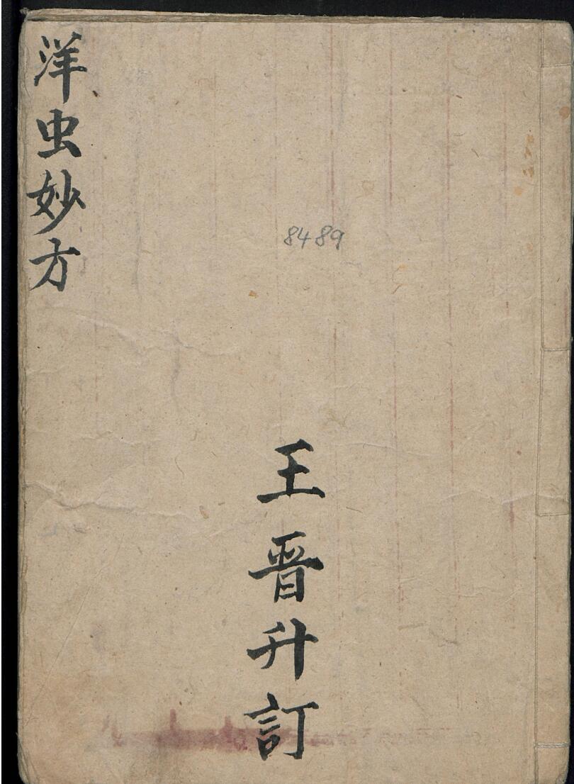 王晋升 洋虫妙方.pdf