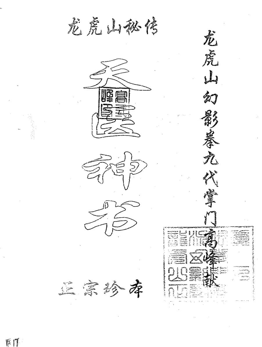 龙虎山秘传天医神书