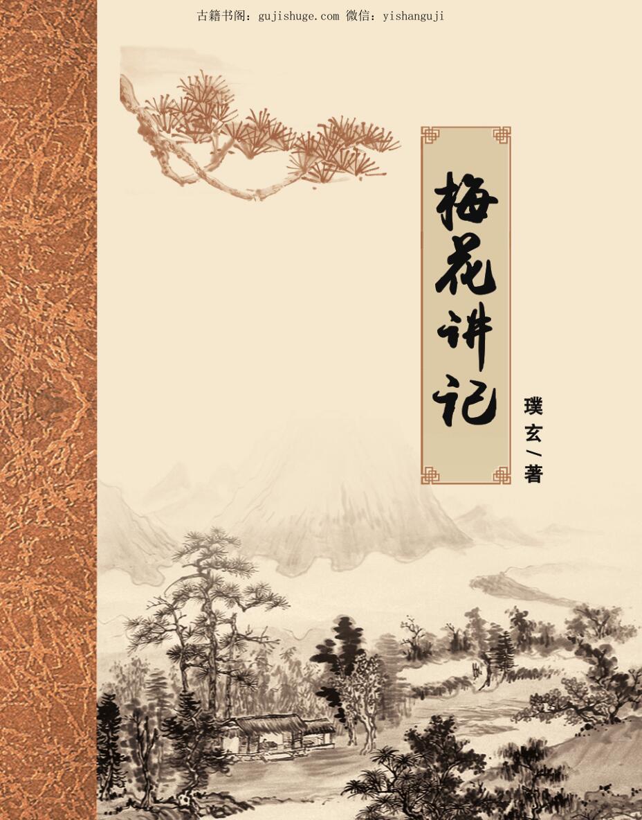 璞玄老师 金口透易梅花占课程记录《梅花讲记》