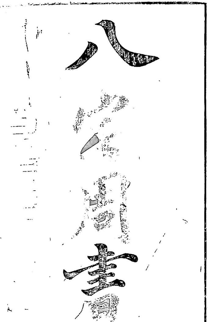 八宅周书《阳宅玄珠》