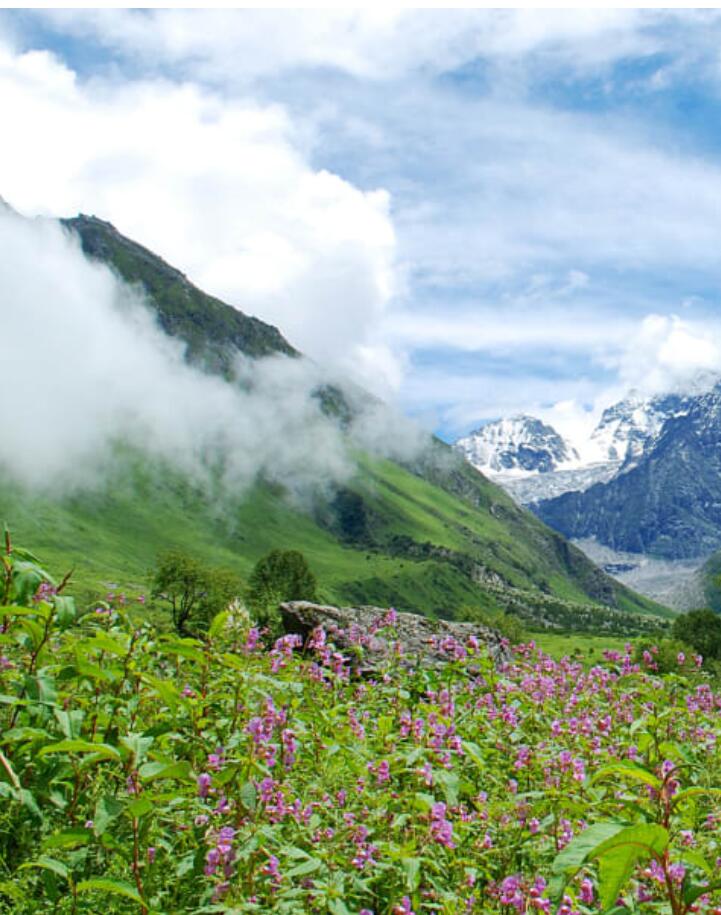 六甲孤虚秘法(奇门法术类)