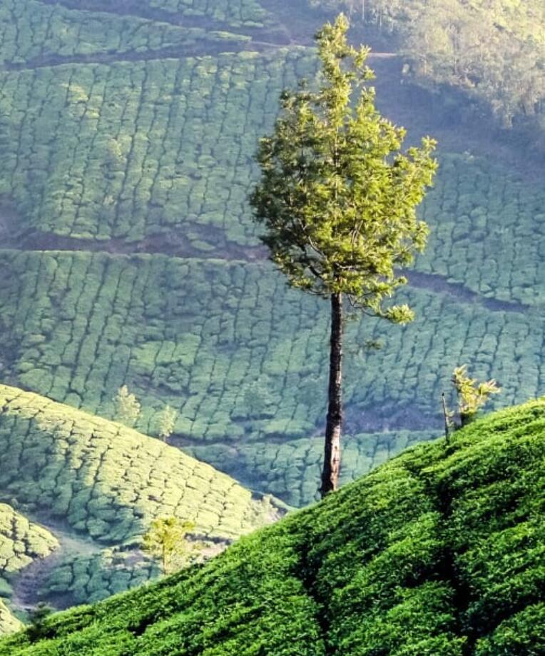 奇门遁甲排盘心法秘诀