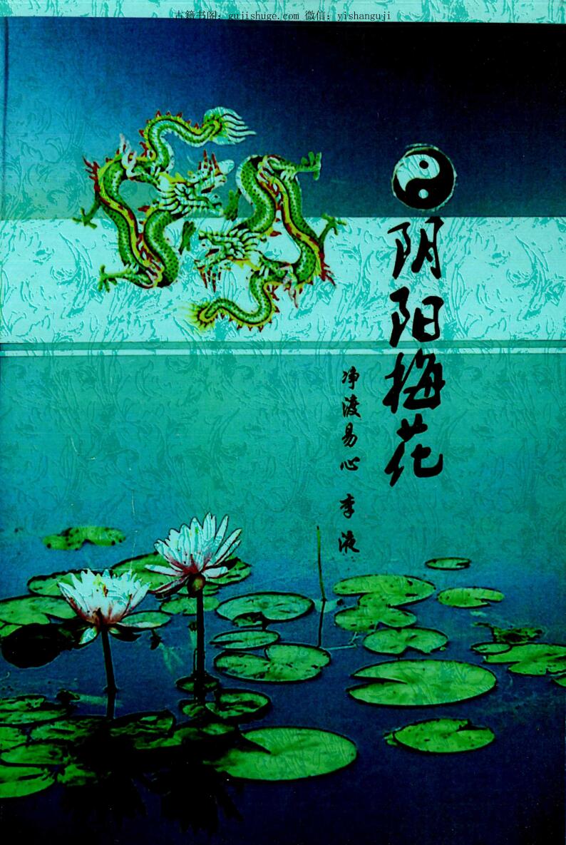 《阴阳梅花》净度易心 李液著 141页