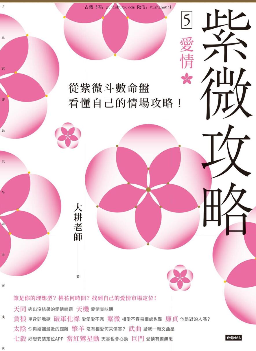 大耕老师《紫微攻略5爱情》