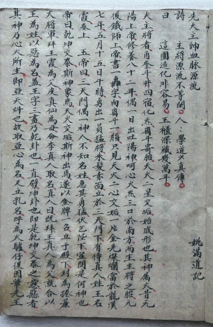 先天王帅血脉流源