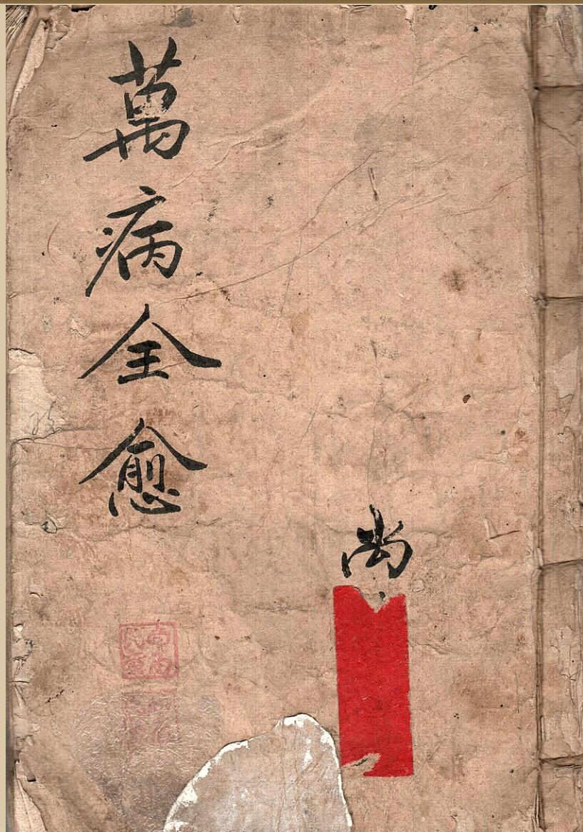 《万病全愈》百度网盘下载