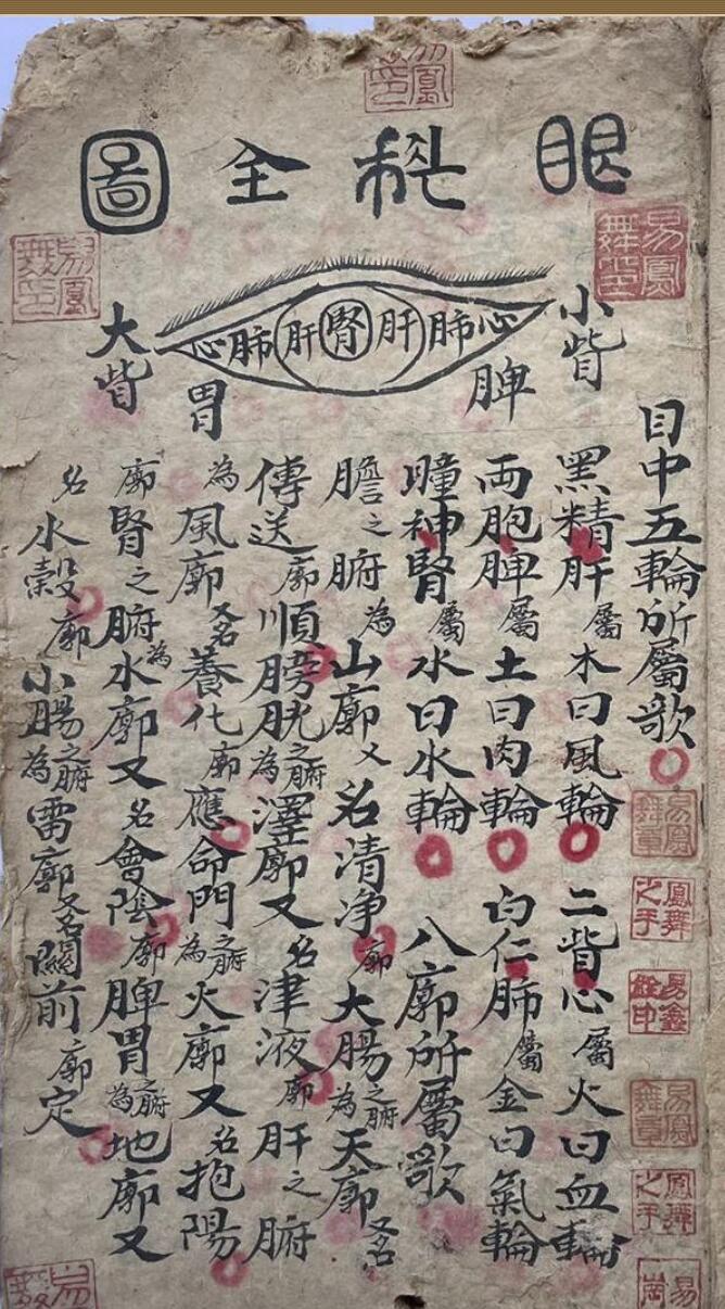 眼科全图-30页(彩印)