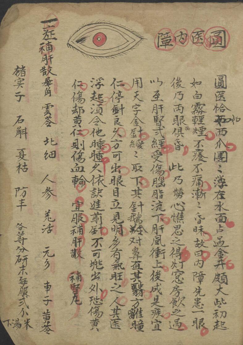 龙树祖师秘传眼科七拾贰症全图