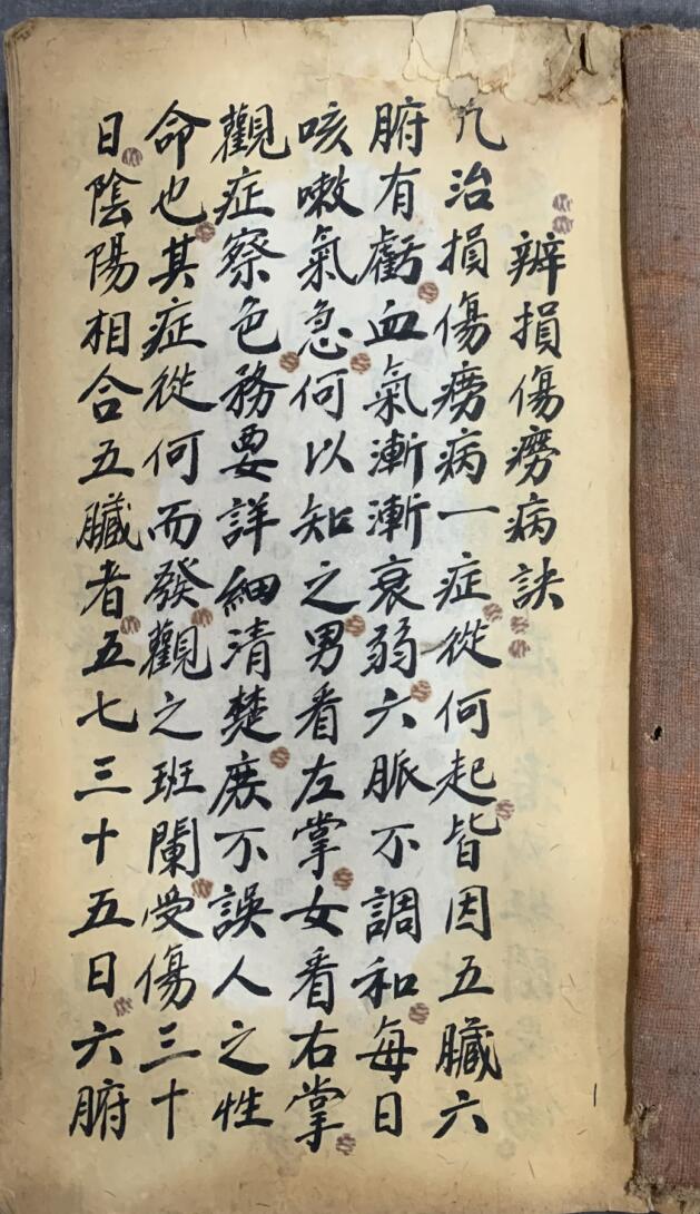 《辨损伤痨病诀》