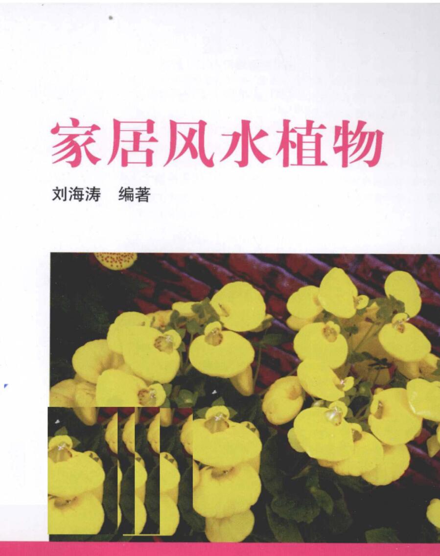 《家居风水植物》