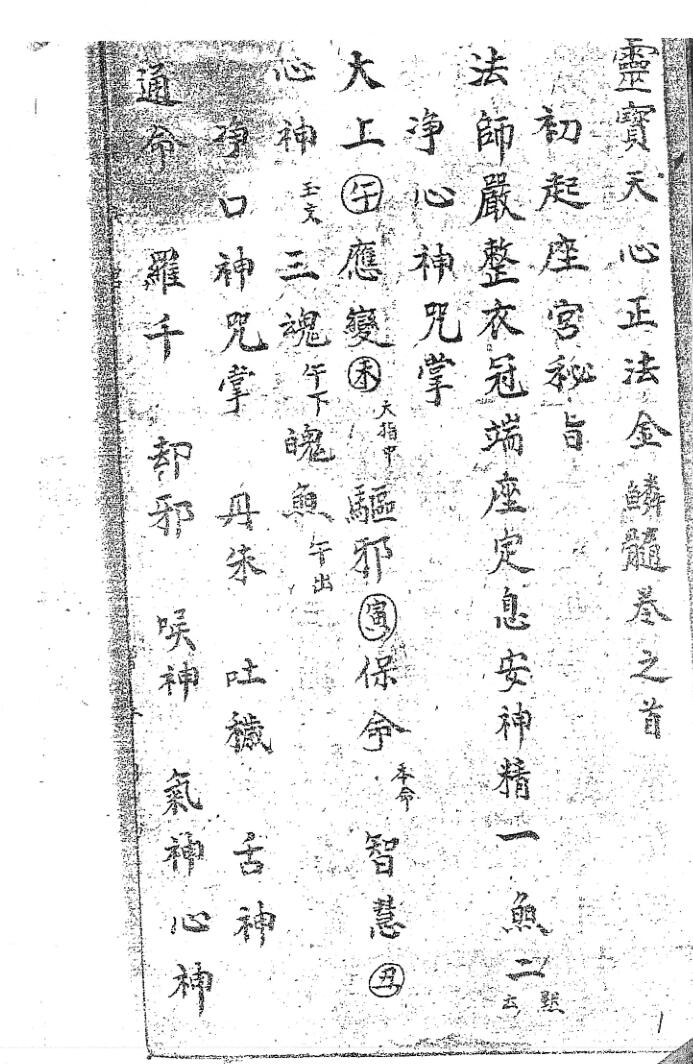 《灵宝天心正法金鳞髓甲》