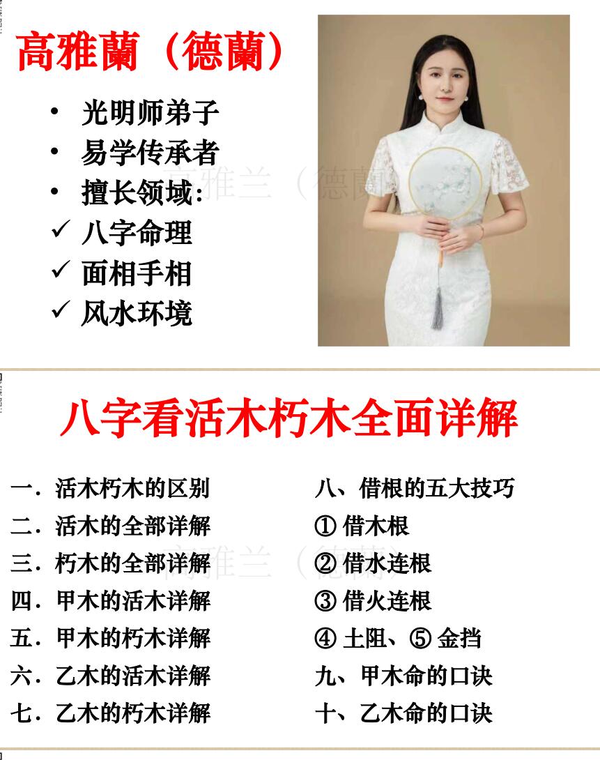 高雅兰《八字看活木朽木全面详解》