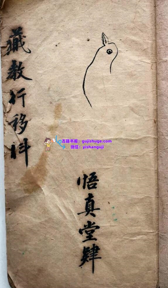 《 藏教行移科》