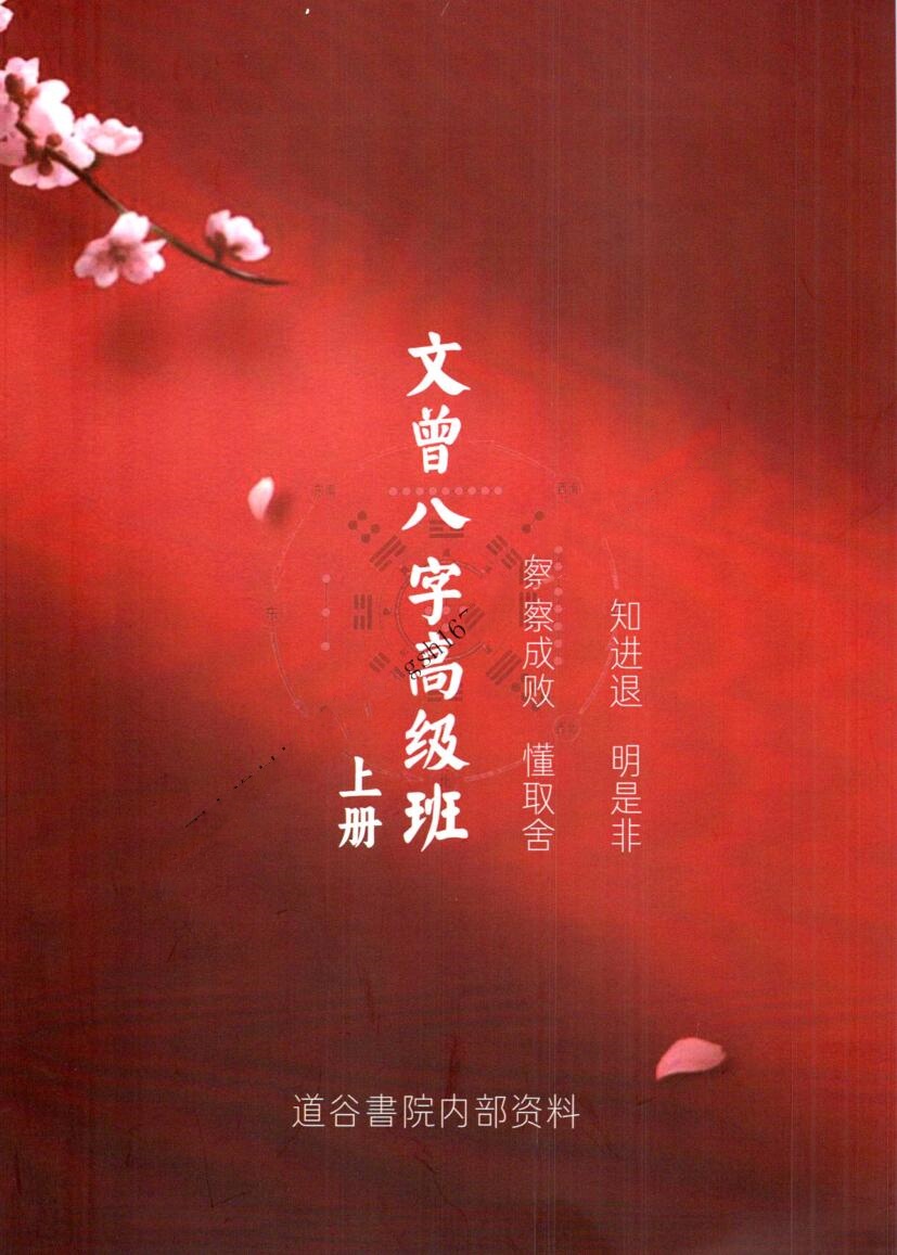 文曾-《盲派八字高级班》