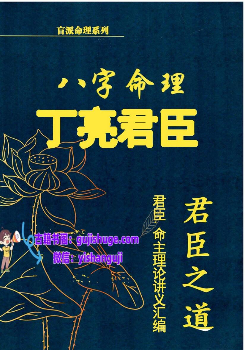 丁亮君臣.命主理论讲义汇编