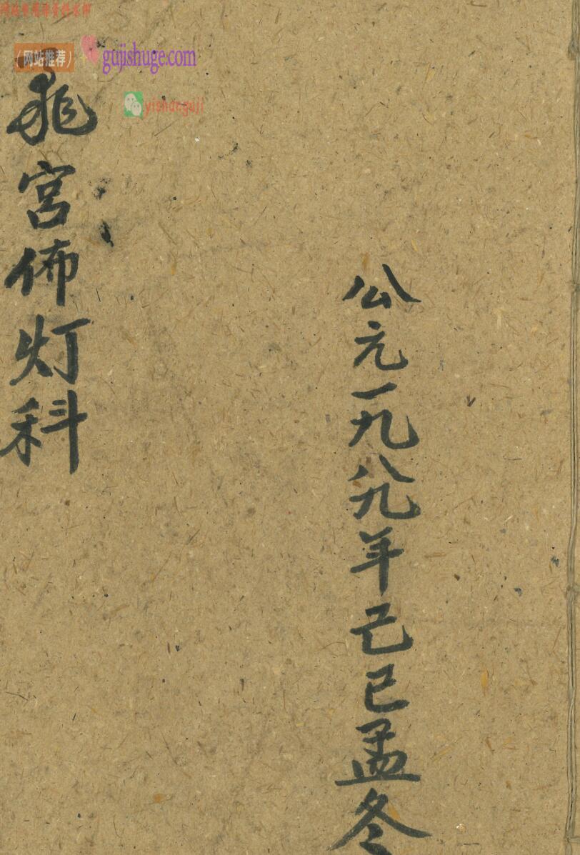 《飞宫布灯科》